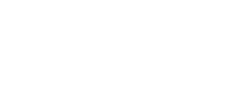 Google Review Link