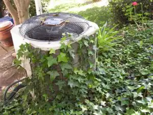 Outdoor AC condenser blocked by overgrown vines restricting airflow.