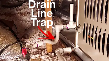 Close-up of an HVAC system condensate drain line showing the P-trap (Drain Line Trap).